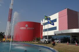 Assentados podem ficar livres de recompor reserva legal em MT