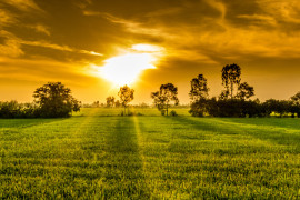Fazenda da família de Miss MT vai a leilão por R$ 13,6 milhões