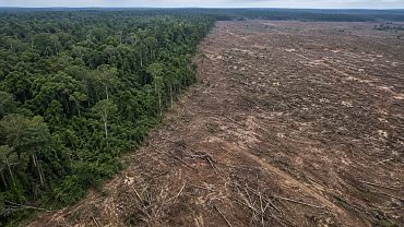 Mato Grosso soma 117 km² sob alerta de desmatamento em apenas um mês