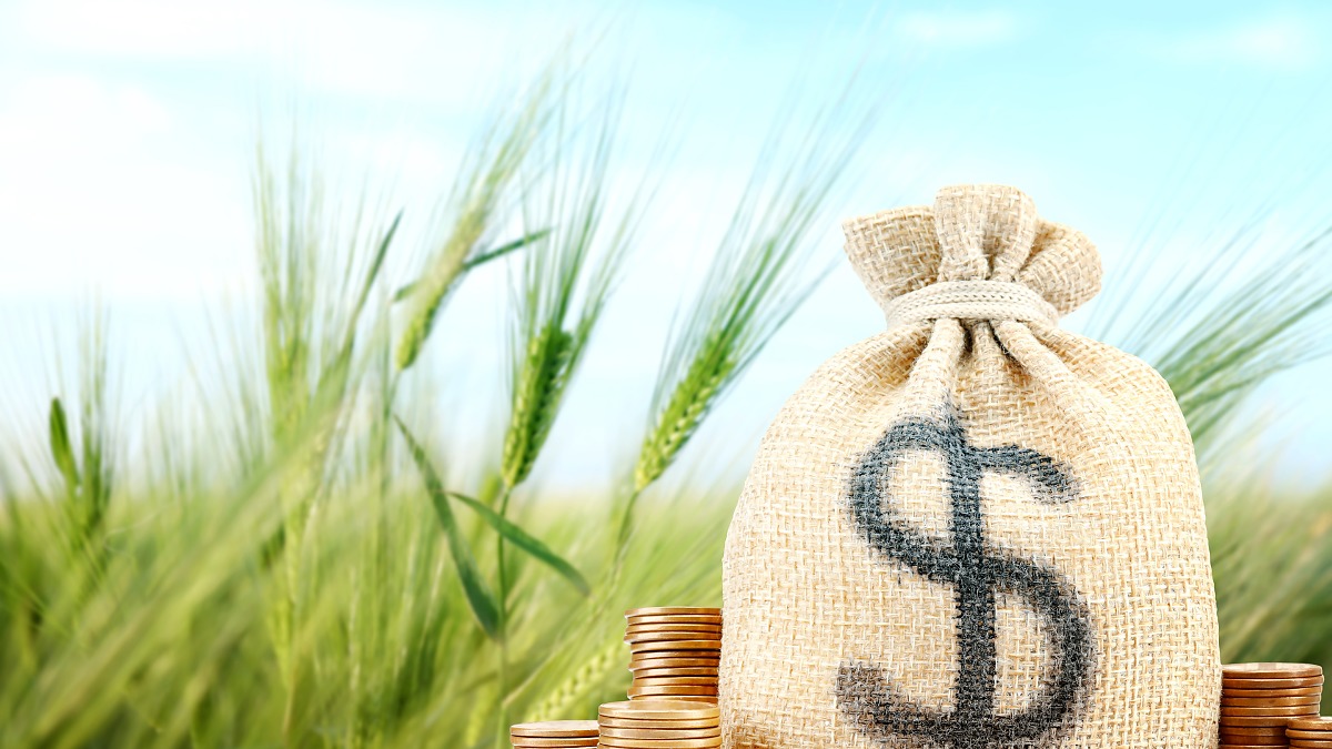 Mato Grosso lidera pedidos de recuperação judicial no agro em 2026