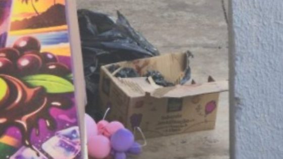 Perícia aponta que bebê encontrada em lixeira nasceu com vida; mãe é identificada