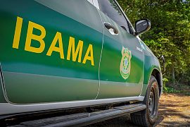 Candidatos de TO, GO e RO somam R$ 3,2 milhões em multas do Ibama aplicadas em MT