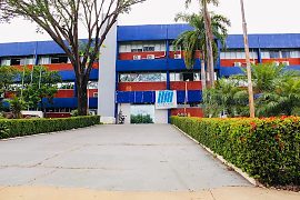 Seaf contrata 260 prenhezes por R$ 832 mil