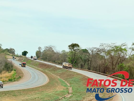 rodovia, estrada, br, mato grosso, caminhão