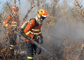 Focos de calor ficam 60% abaixo da média histórica em MT