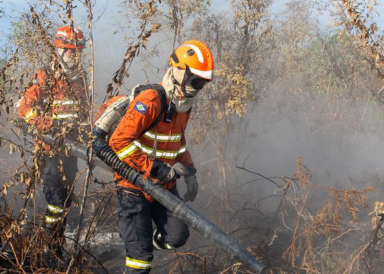 Focos de calor ficam 60% abaixo da média histórica em MT