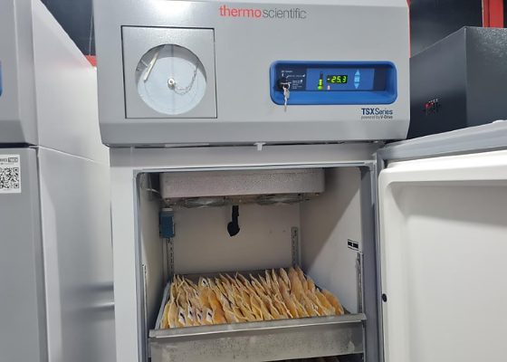 MT Hemocentro é requalificado para contribuir com produção de medicamentos do SUS