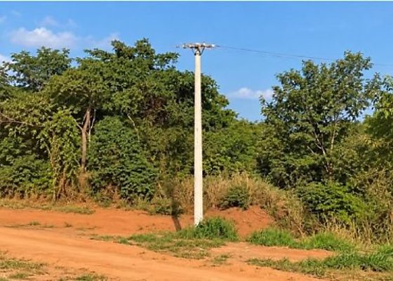 Homem sai de casa para cortar bambu e é encontrado morto horas depois em MT