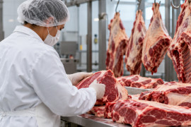 General Carneiro cria inspeção obrigatória para alimentos de origem animal