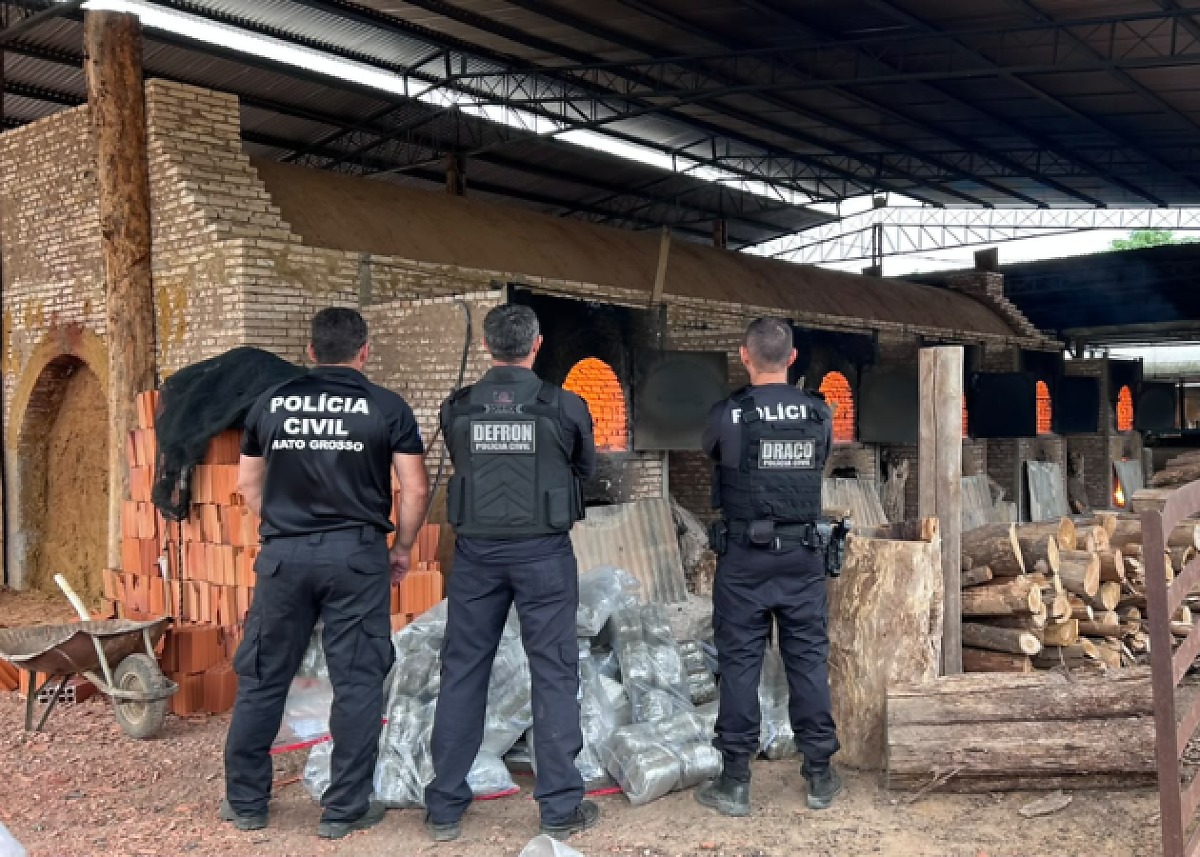 Polícia incinera mais de 400 kg de drogas em Cáceres, MT